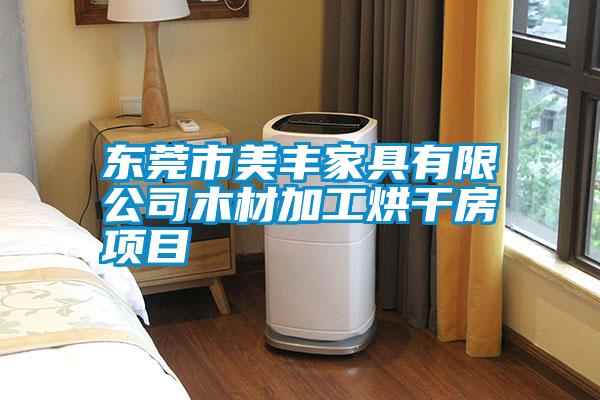 东莞市美丰家具有限公司木材加工烘干房项目