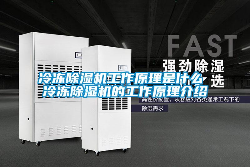 冷冻除湿机工作原理是什么 冷冻除湿机的工作原理介绍