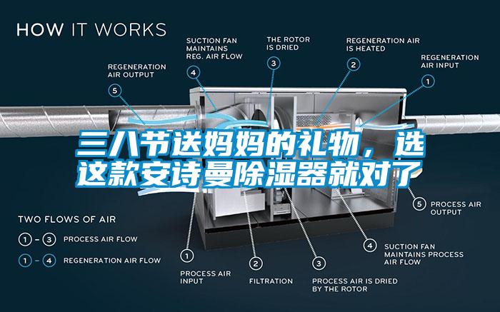 三八节送妈妈的礼物，选这款安诗曼除湿器就对了