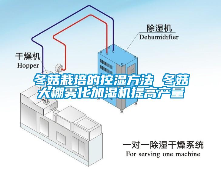 冬菇栽培的控湿方法 冬菇大棚雾化加湿机提高产量