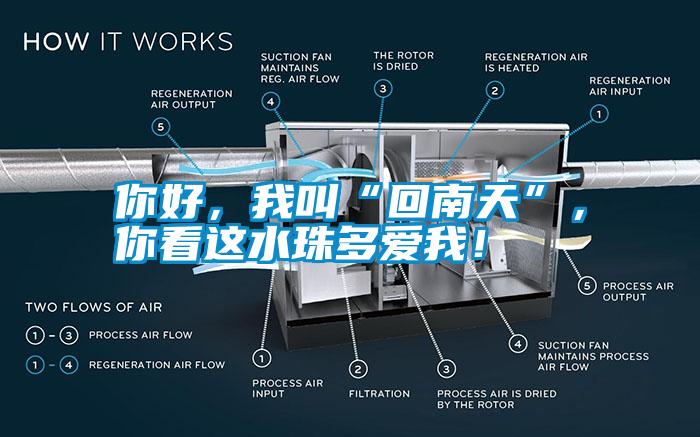 你好，我叫“回南天”，你看这水珠多爱我！