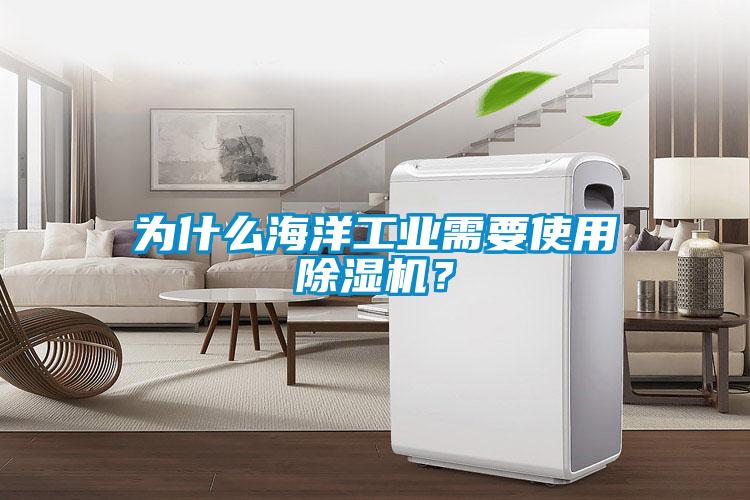 为什么海洋工业需要使用除湿机？