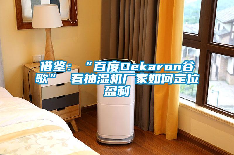 借鉴：“百度Dekaron谷歌” 看抽湿机厂家如何定位盈利