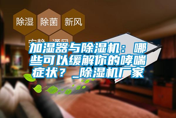 加湿器与除湿机：哪些可以缓解你的哮喘症状？_除湿机厂家