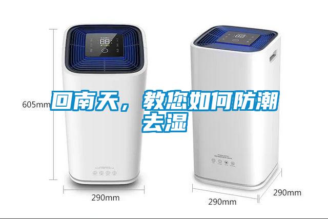 回南天，教您如何防潮去湿