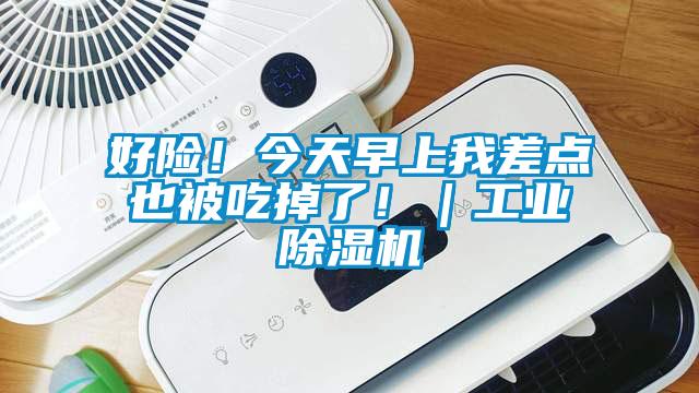 好险！今天早上我差点也被吃掉了！｜工业除湿机