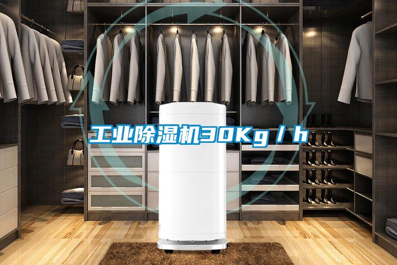 工业除湿机30Kg／h