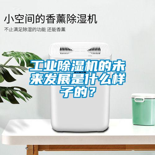 工业除湿机的未来发展是什么样子的？