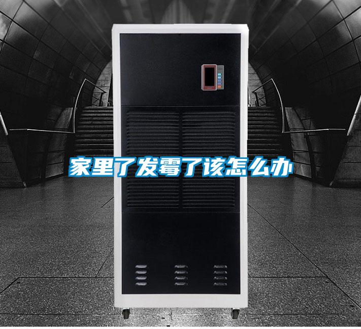 家里了发霉了该怎么办