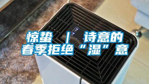 惊蛰 ｜ 诗意的春季拒绝“湿”意