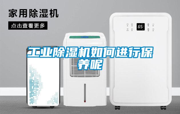 工业除湿机如何进行保养呢