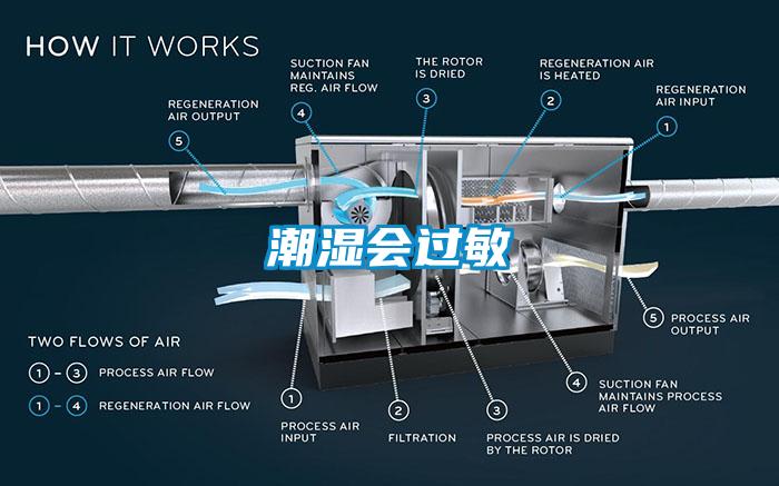 潮湿会过敏