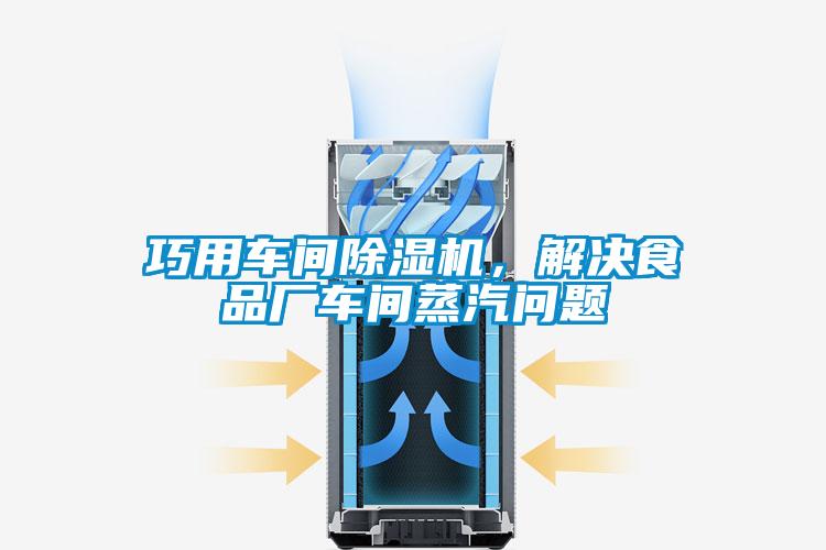 巧用车间除湿机，解决食品厂车间蒸汽问题