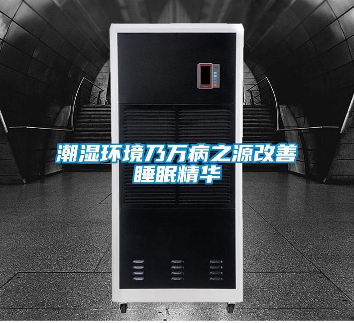 潮湿环境乃万病之源改善睡眠精华