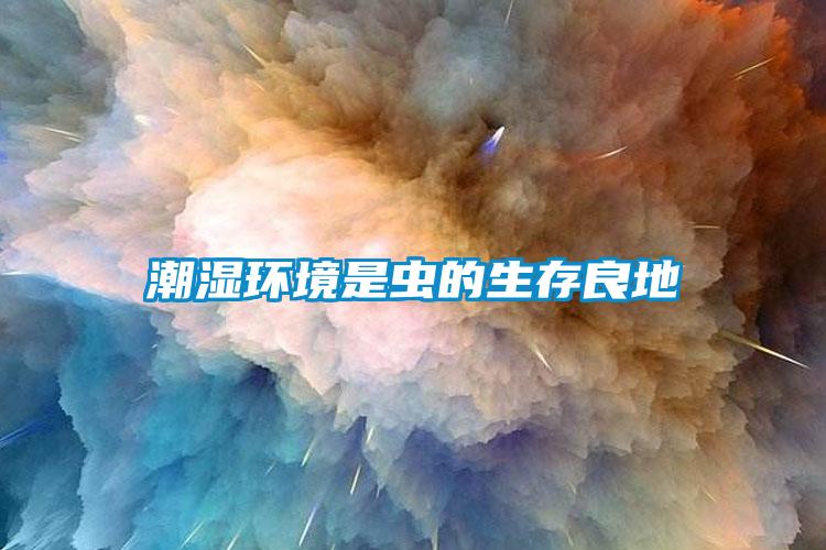 潮湿环境是虫的生存良地