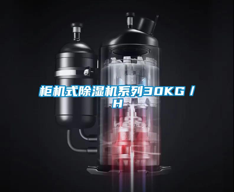 柜机式除湿机系列30KG／H