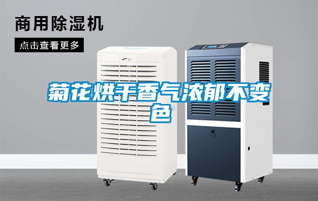菊花烘干香气浓郁不变色