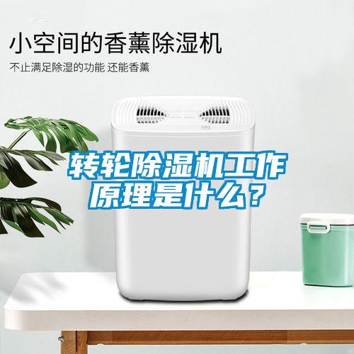 转轮除湿机工作原理是什么？