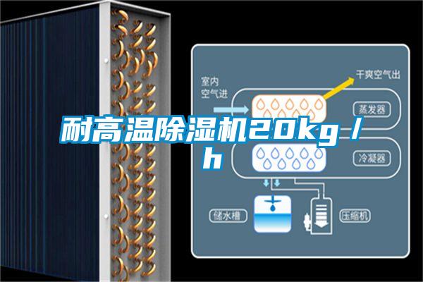耐高温除湿机20kg／h