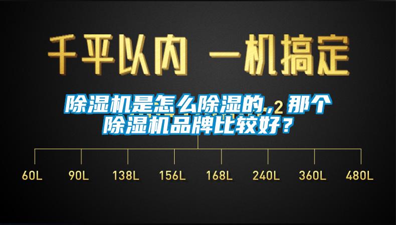 除湿机是怎么除湿的，那个除湿机品牌比较好？