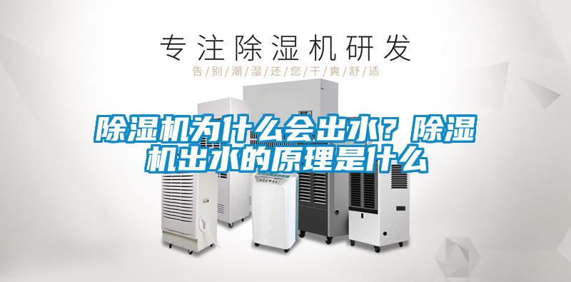 除湿机为什么会出水？除湿机出水的原理是什么