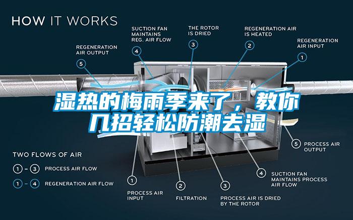 湿热的梅雨季来了，教你几招轻松防潮去湿