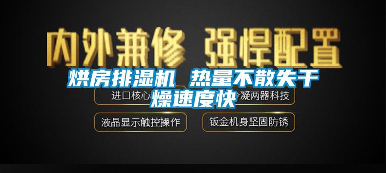 烘房排湿机 热量不散失干燥速度快