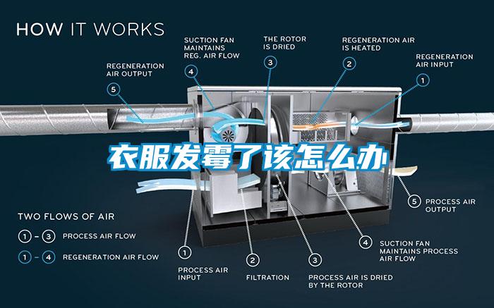 衣服发霉了该怎么办