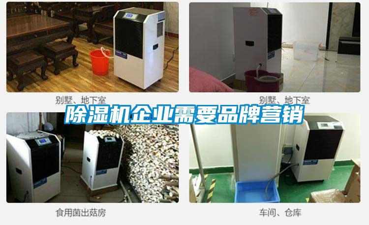 除湿机企业需要品牌营销