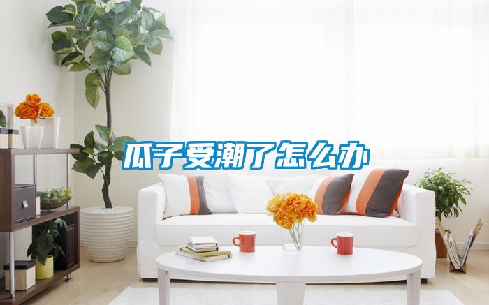 瓜子受潮了怎么办