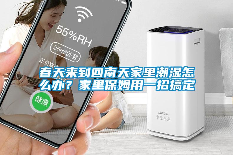 春天来到回南天家里潮湿怎么办？家里保姆用一招搞定