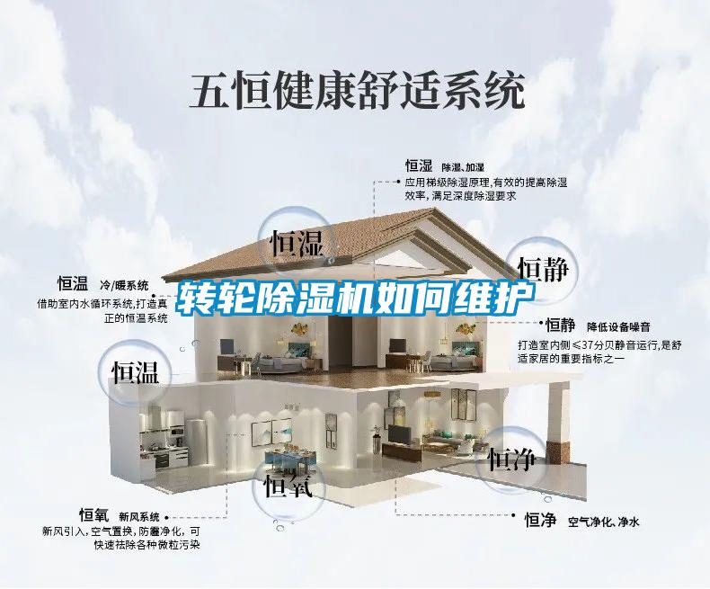 转轮除湿机如何维护
