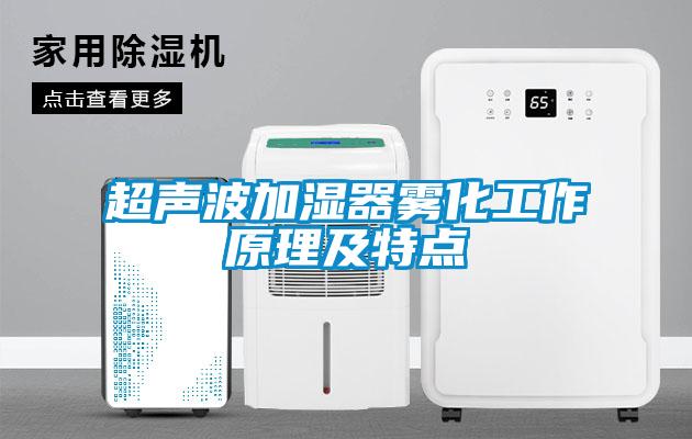 超声波加湿器雾化工作原理及特点