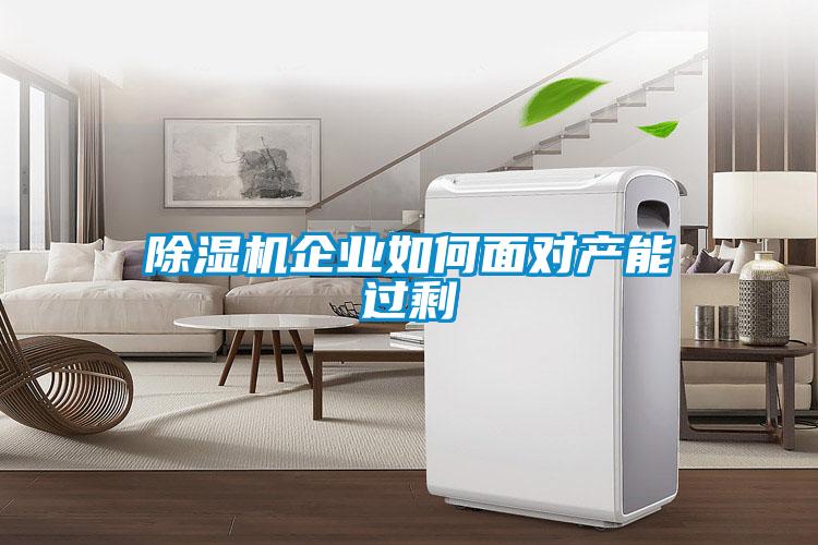 除湿机企业如何面对产能过剩