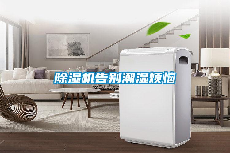 除湿机告别潮湿烦恼