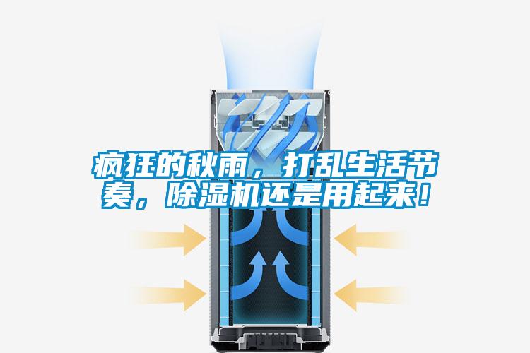 疯狂的秋雨，打乱生活节奏，除湿机还是用起来！