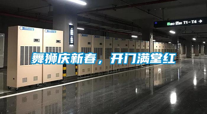 舞狮庆新春,开门满堂红