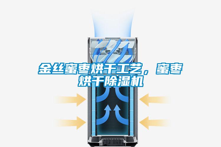 金丝蜜枣烘干工艺，蜜枣烘干除湿机