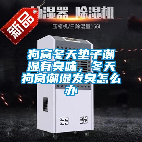 狗窝冬天垫子潮湿有臭味，冬天狗窝潮湿发臭怎么办