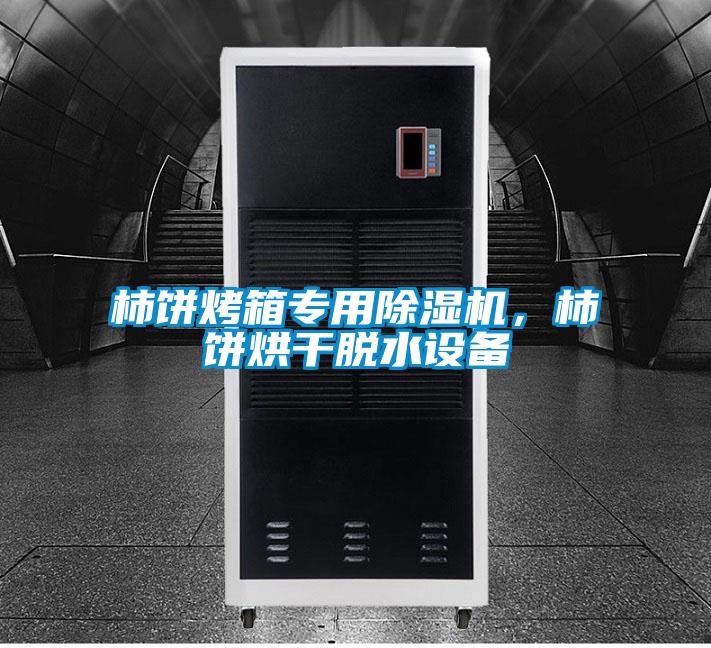 柿饼烤箱专用除湿机,柿饼烘干脱水设备