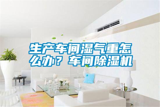 生产车间湿气重怎么办？车间除湿机