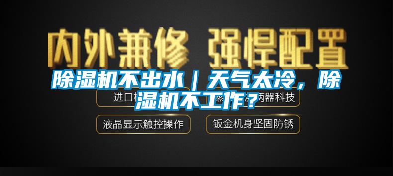 除湿机不出水｜天气太冷，除湿机不工作？