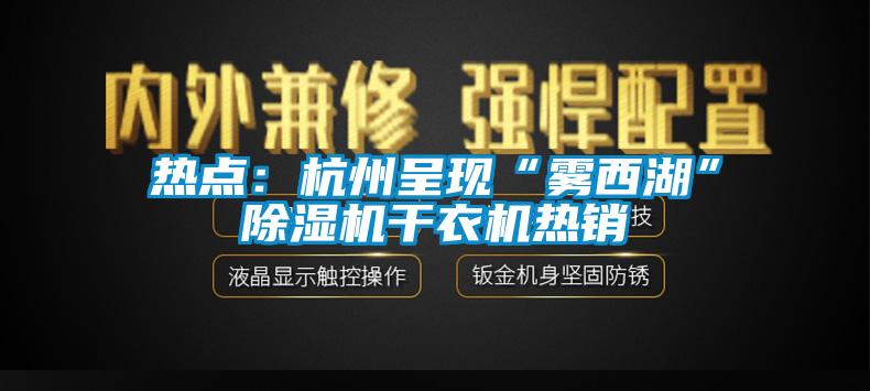 热点：杭州呈现“雾西湖”除湿机干衣机热销