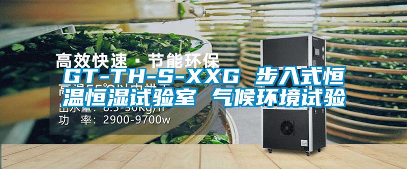 GT-TH-S-XXG 步入式恒温恒湿试验室 气候环境试验