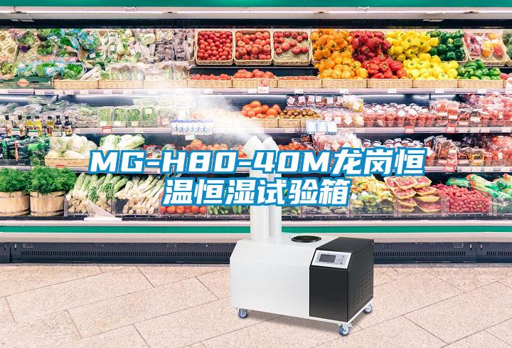 MG-H80-40M龙岗恒温恒湿试验箱