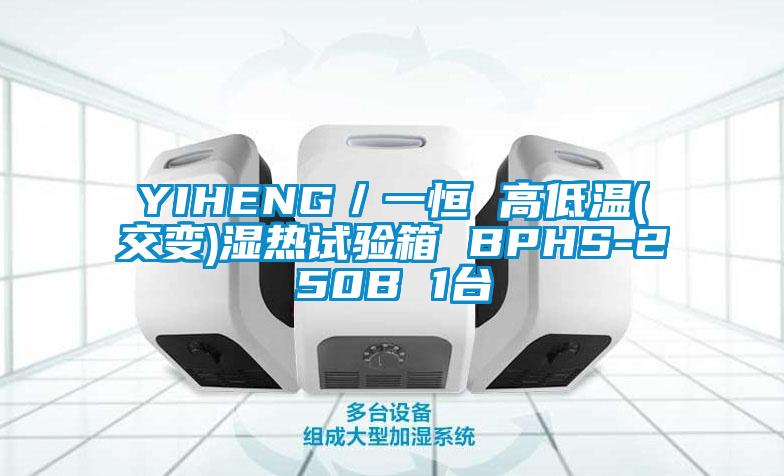 YIHENG／一恒 高低温(交变)湿热试验箱 BPHS-250B 1台