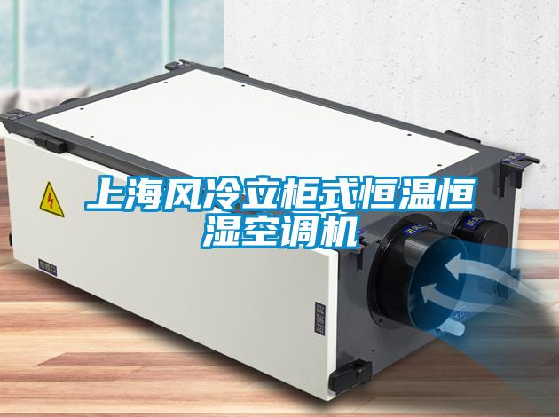 上海风冷立柜式恒温恒湿空调机