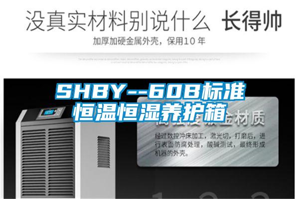 SHBY--60B标准恒温恒湿养护箱