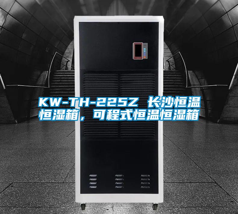 KW-TH-225Z 长沙恒温恒湿箱，可程式恒温恒湿箱