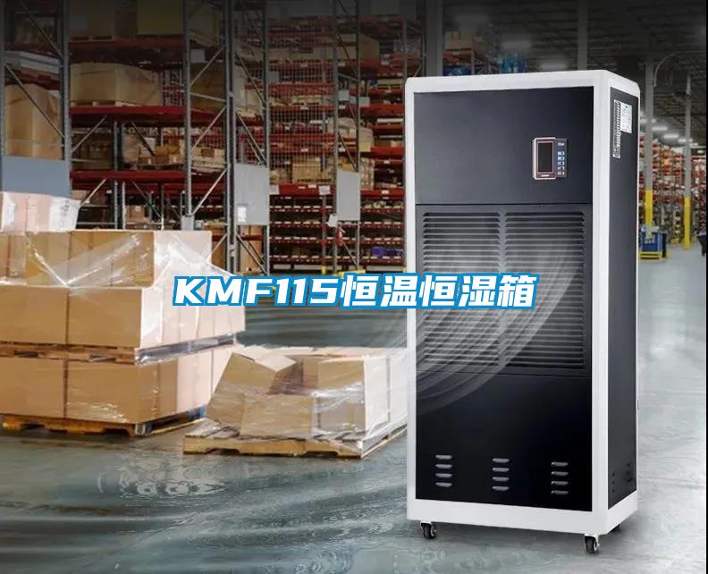 KMF115恒温恒湿箱